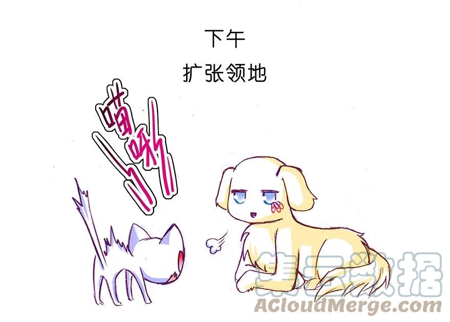 11.jpg