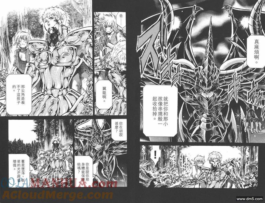 第23卷-圣斗士星矢 冥王神话-手代木史织（第6张）