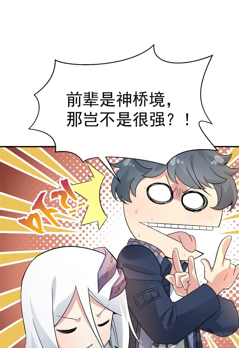 04回-秘境开启-我捡起了一地属性-刺猬猫漫画（第30张）