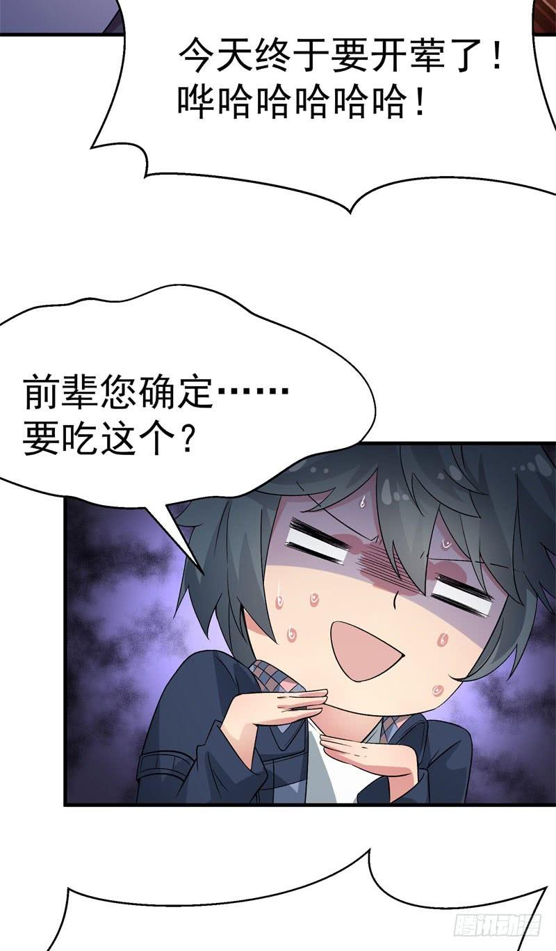 04回-秘境开启-我捡起了一地属性-刺猬猫漫画（第13张）