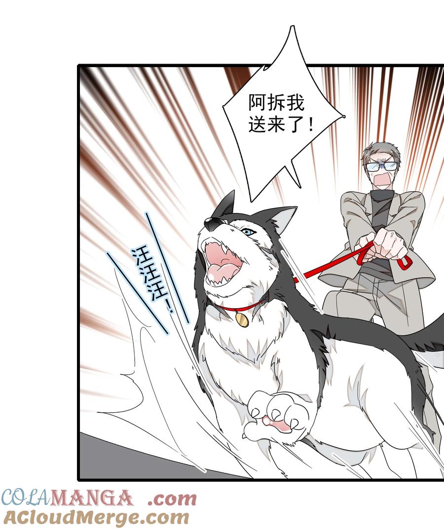 194是你吗？-我家偶像有点不对劲-客心（第9张）