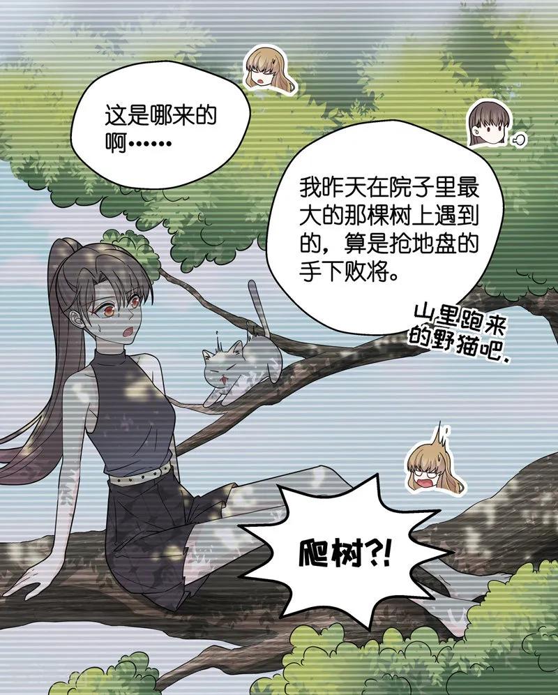 第41话隐秘的过去4-我家千金又在揍人-爱乐果iLEGUO（第14张）