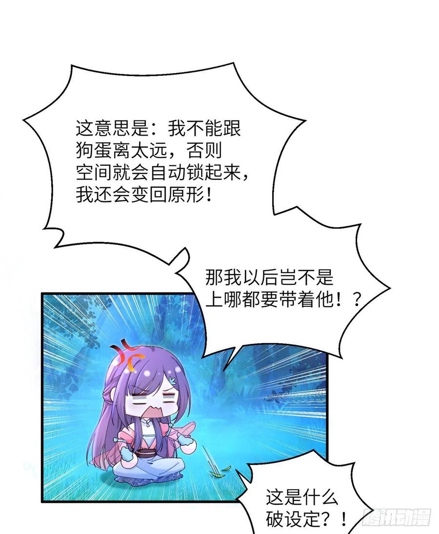 21.jpg