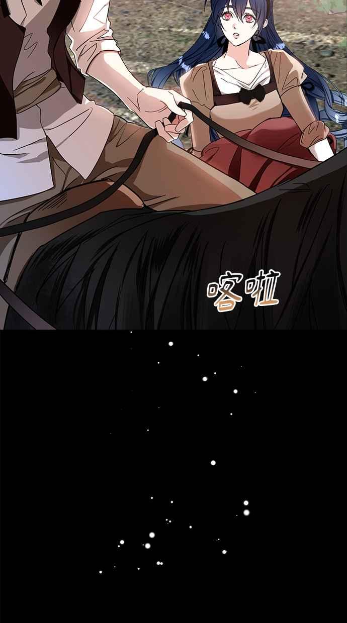 41.jpg