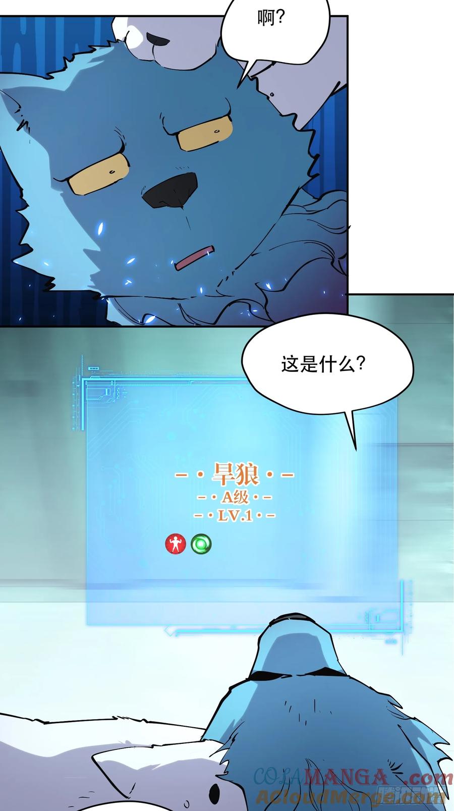 17.jpg