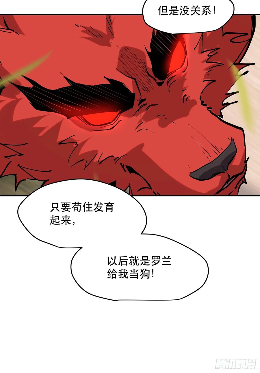 26.jpg