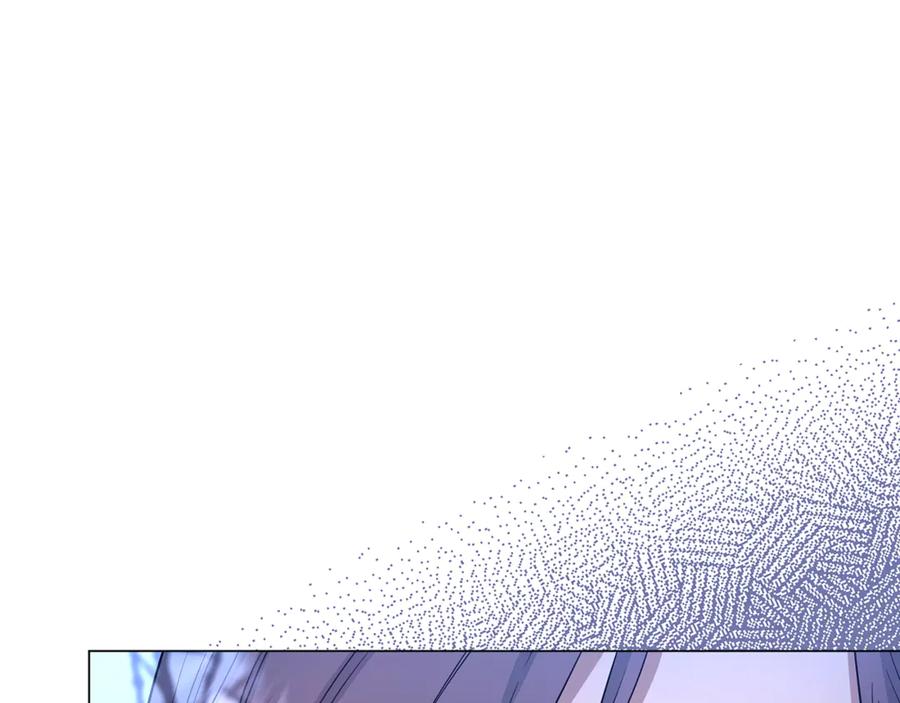 223.jpg