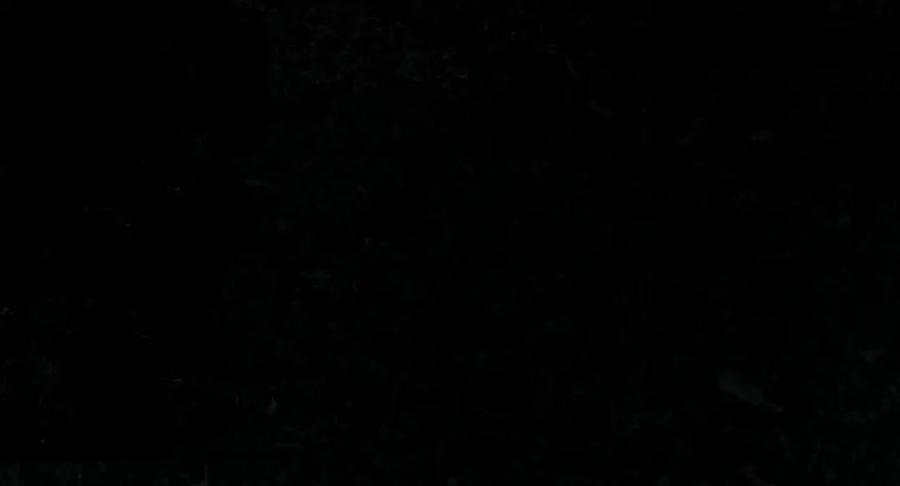115.jpg