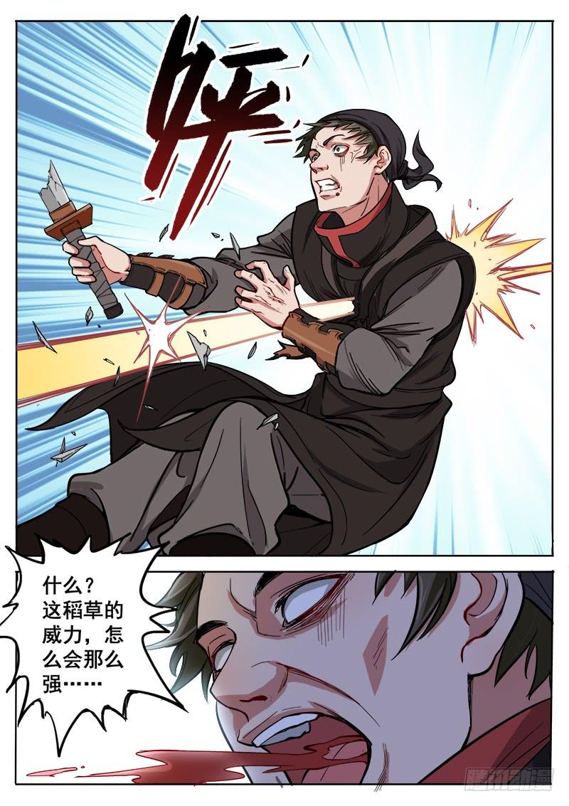 5.jpg