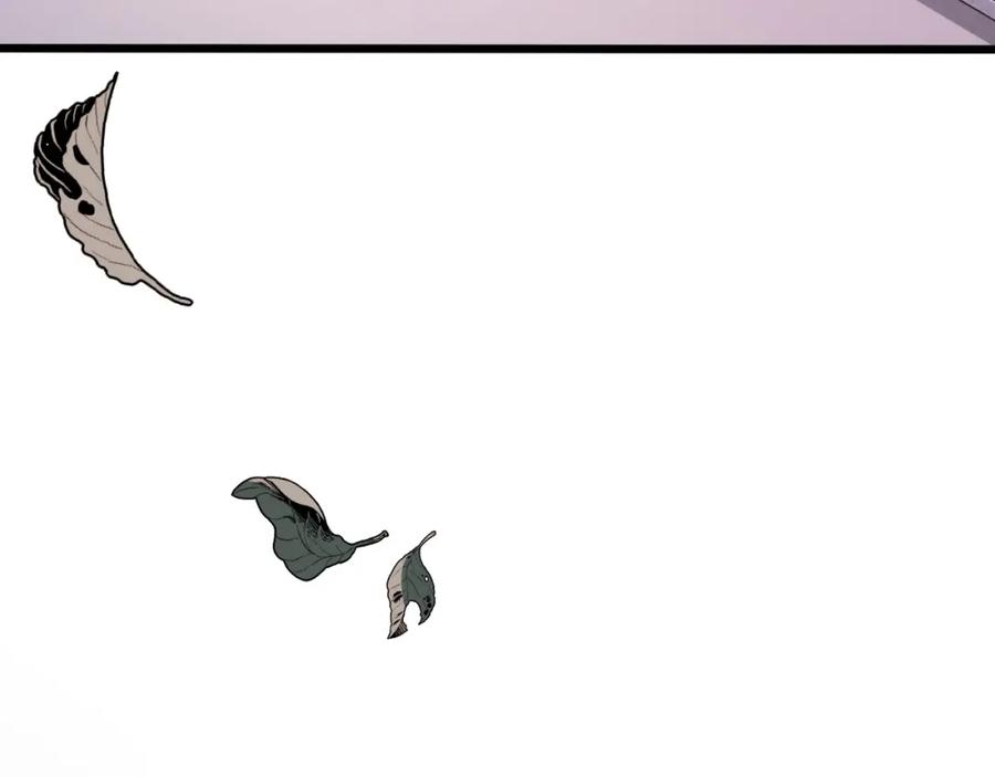 78.jpg