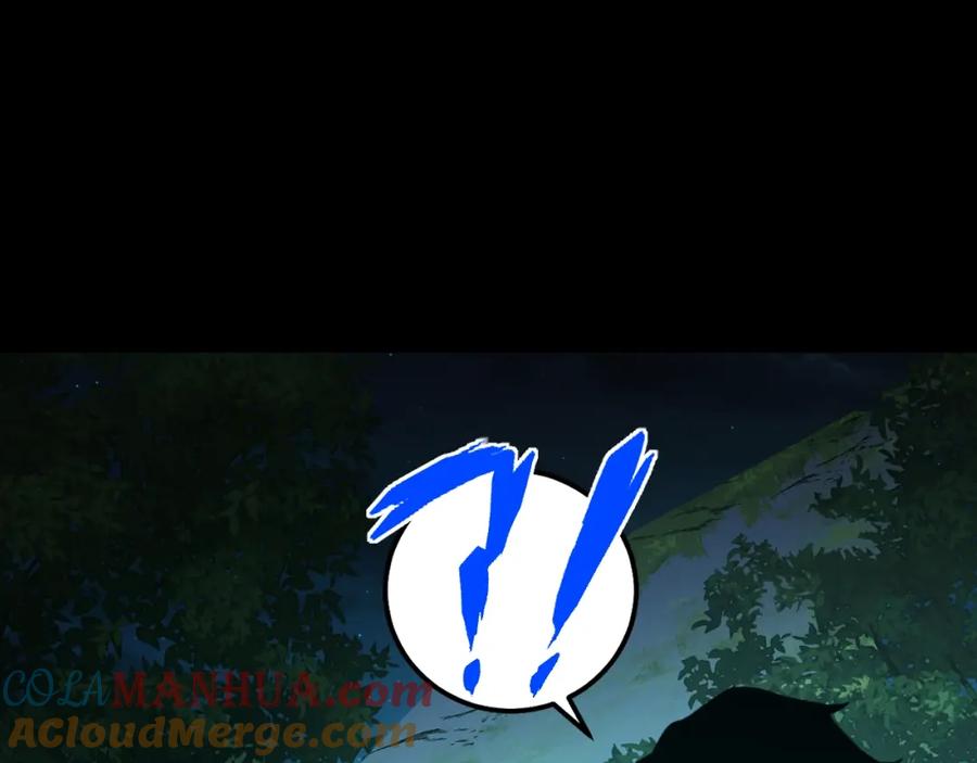 241.jpg