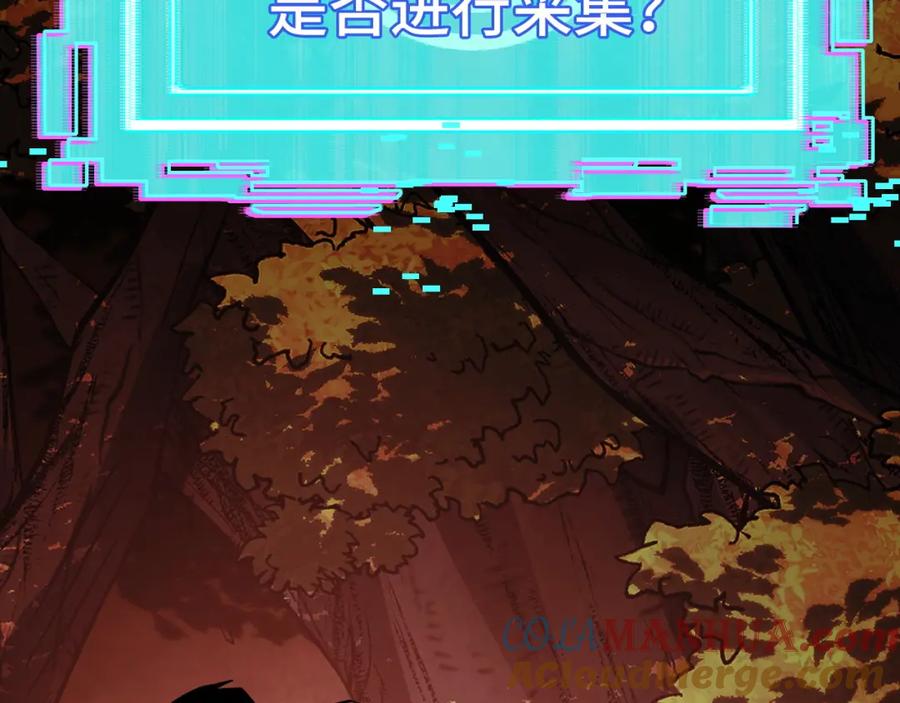 177.jpg