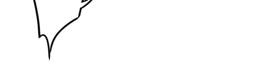 63.jpg