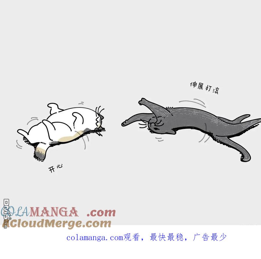 第245话-关于养猫我一直是新手-キュルZ（第5张）