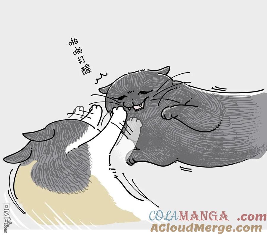 第245话-关于养猫我一直是新手-キュルZ（第2张）