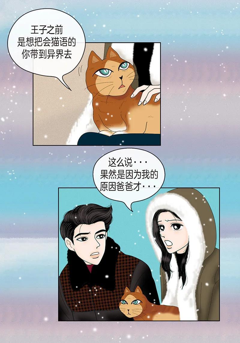 最终话成功-猫王子-蓝文文化（第8张）