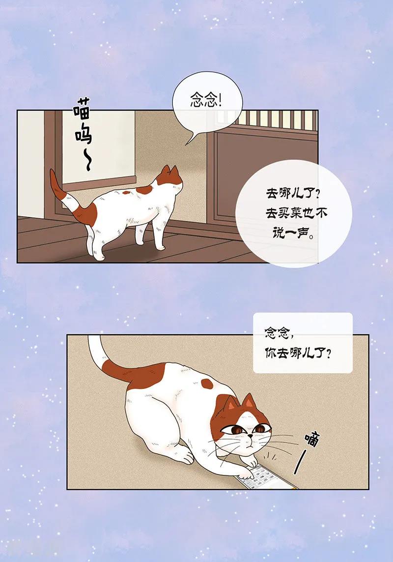 最终话成功-猫王子-蓝文文化（第3张）