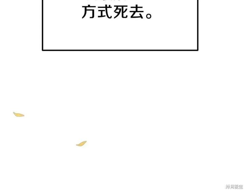 151.jpg