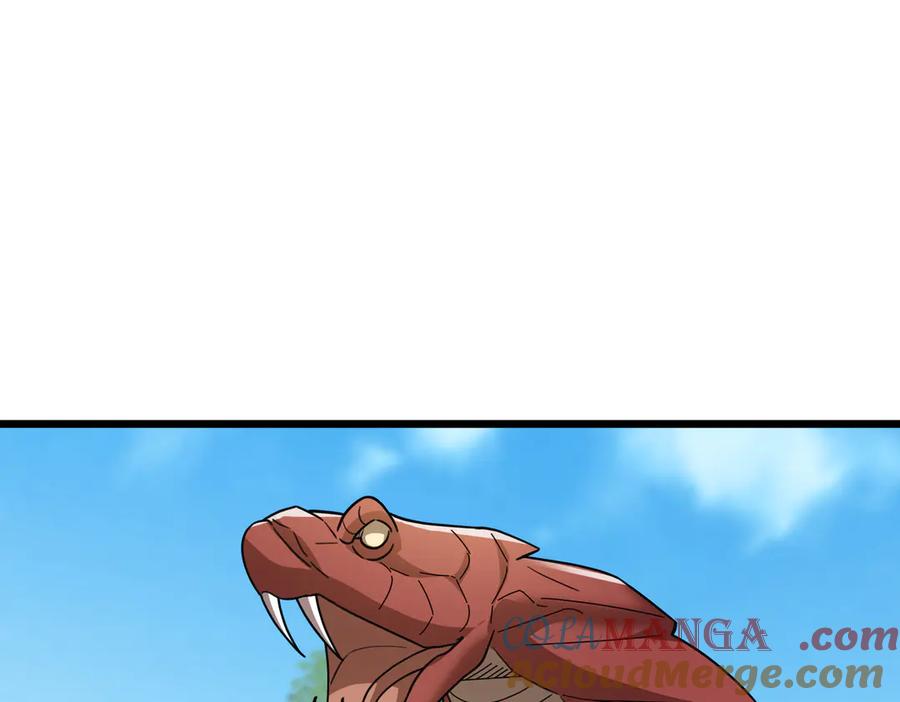 141.jpg