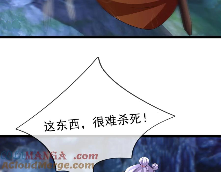 73.jpg