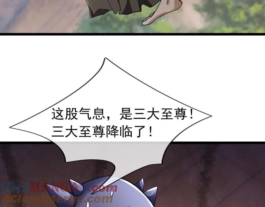 113.jpg