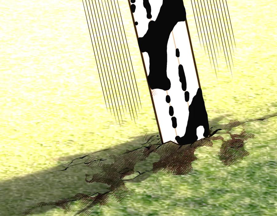 306.jpg