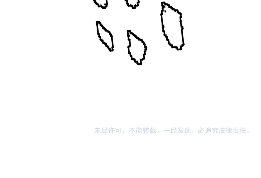 163.jpg