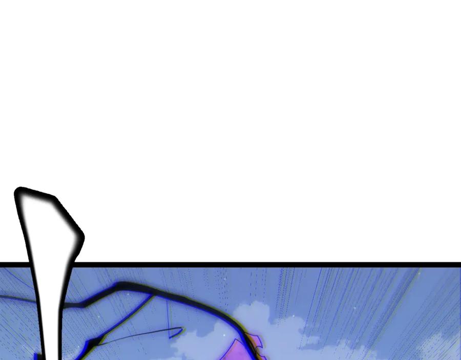 146.jpg