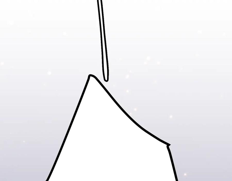 164.jpg