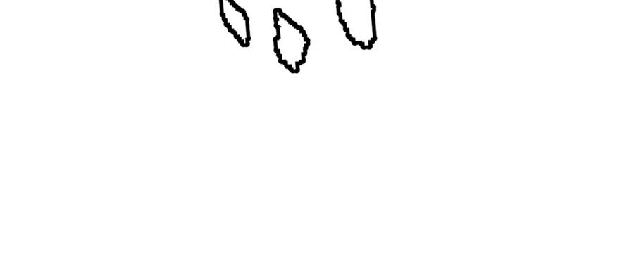 170.jpg