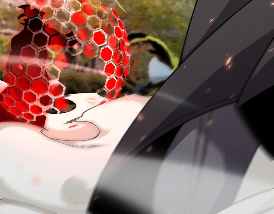 71.jpg
