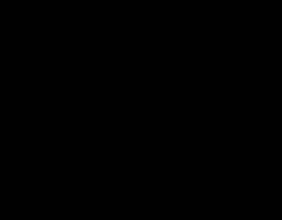 131.jpg