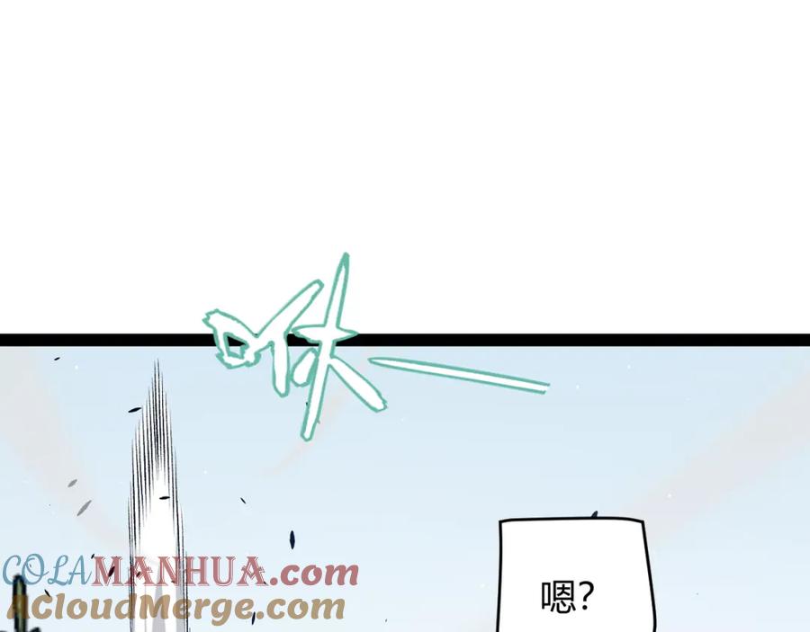 113.jpg