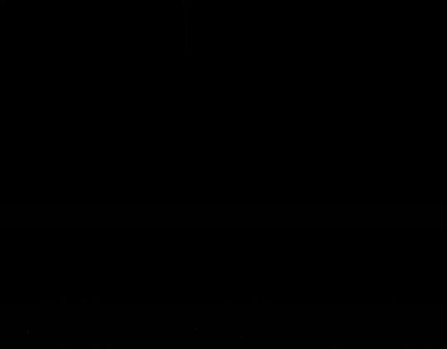 151.jpg