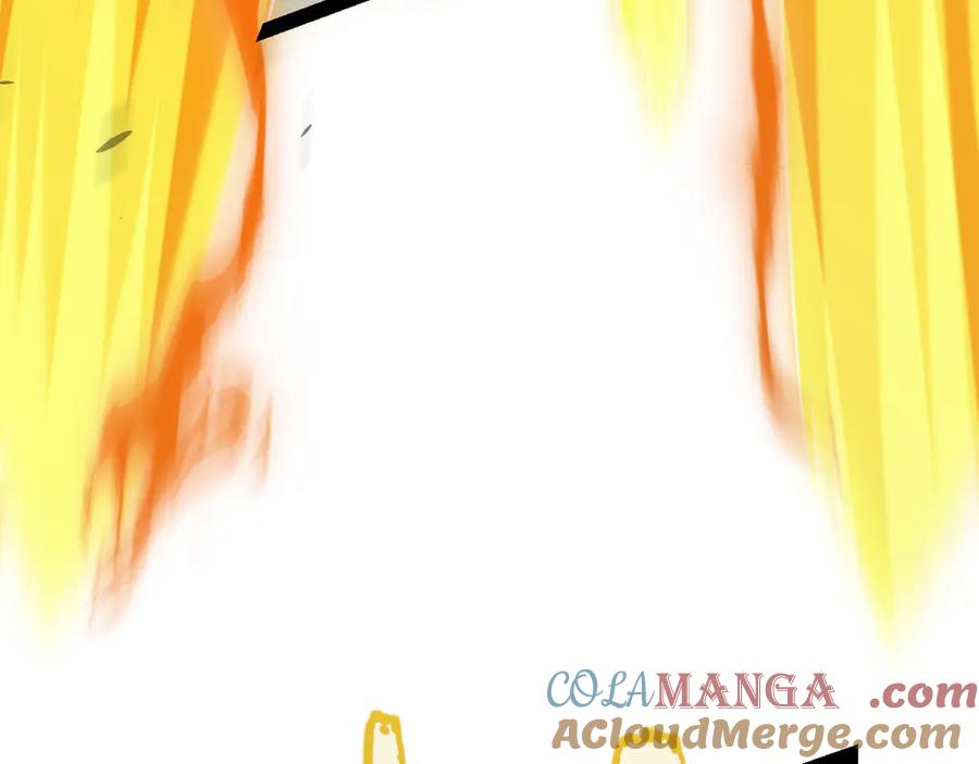 145.jpg
