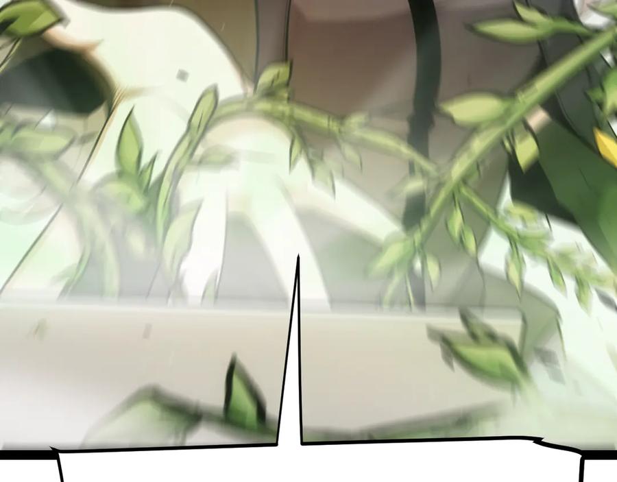 194.jpg