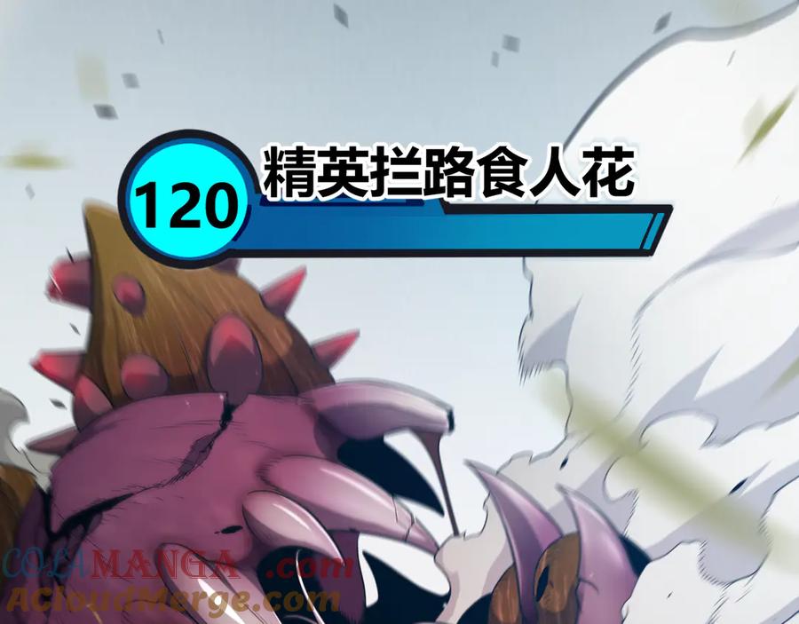 141.jpg