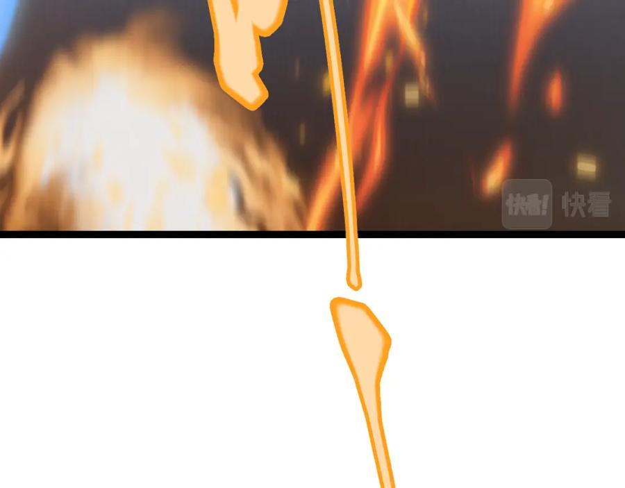 155.jpg