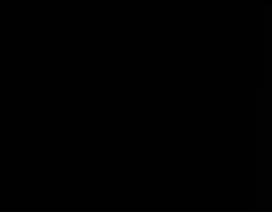 55.jpg