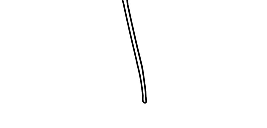 127.jpg