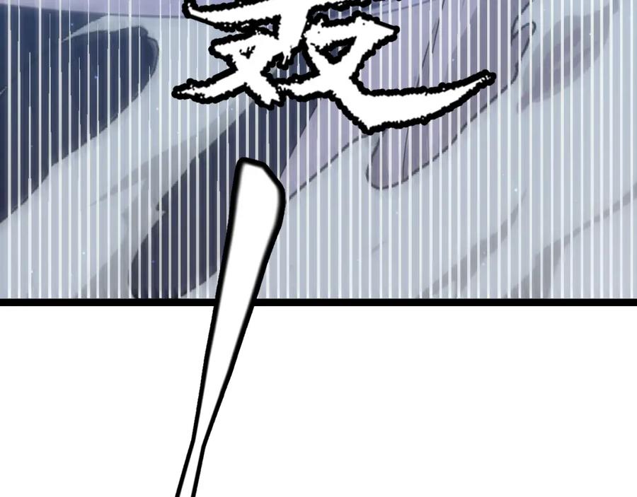 135.jpg