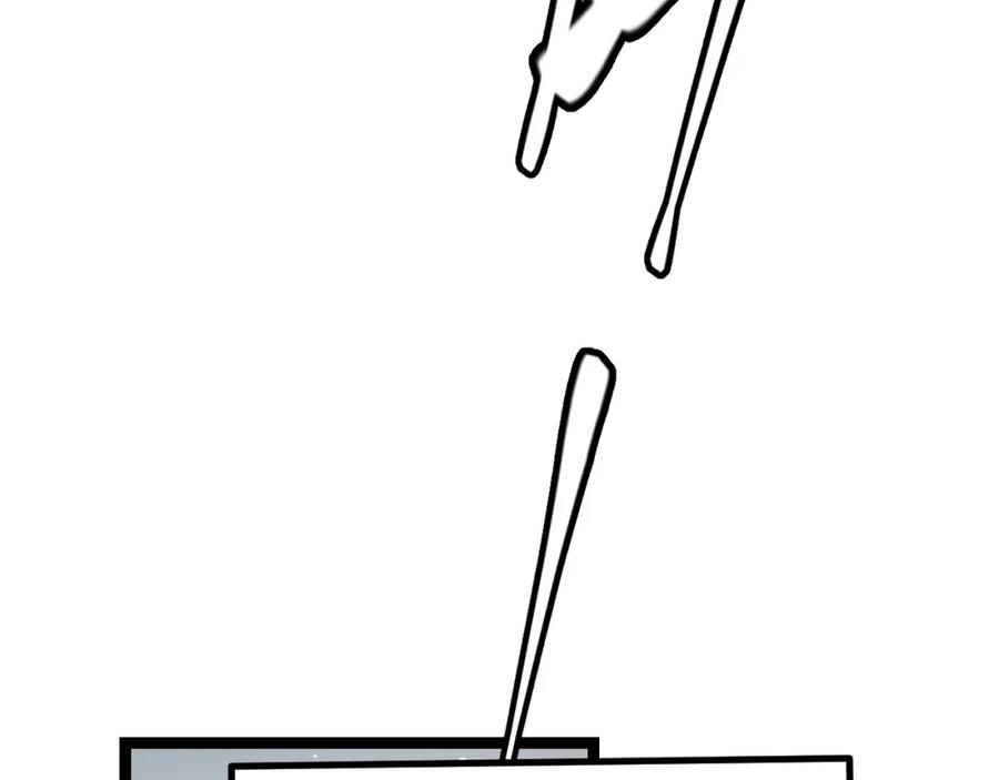 146.jpg