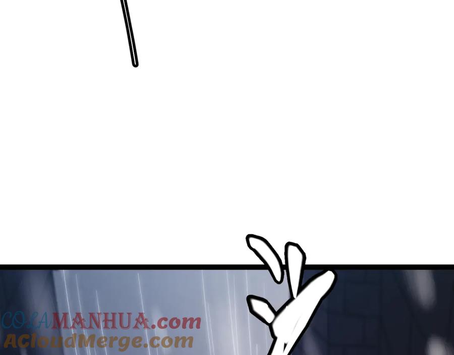 145.jpg