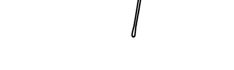 146.jpg