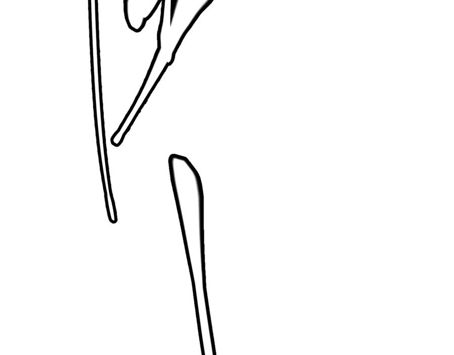 164.jpg