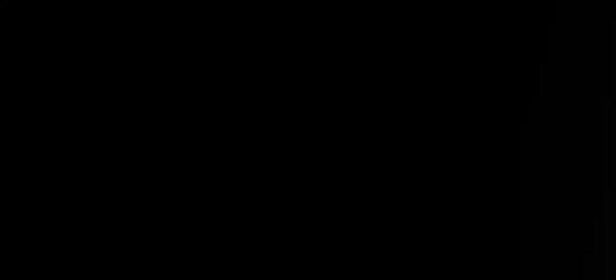 131.jpg