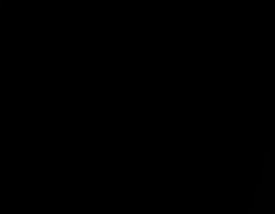 130.jpg