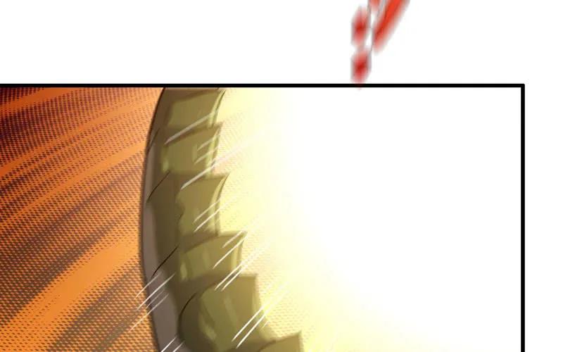 81.jpg