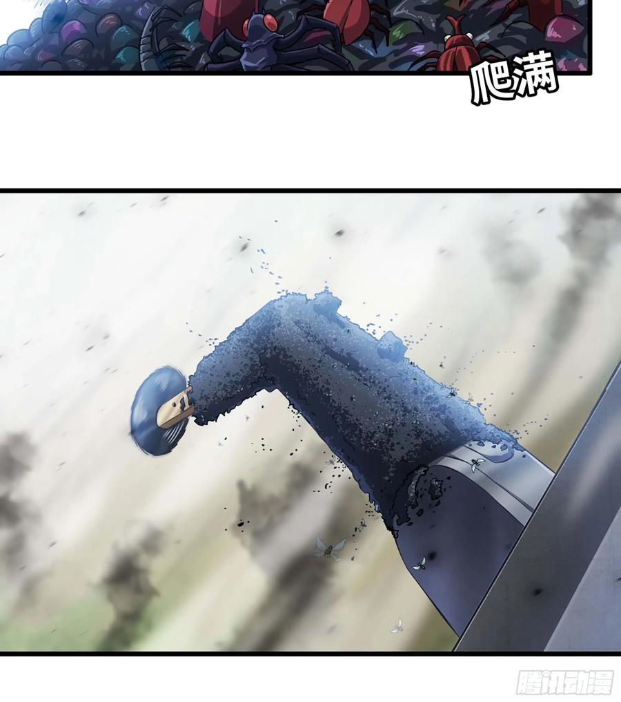 14.jpg
