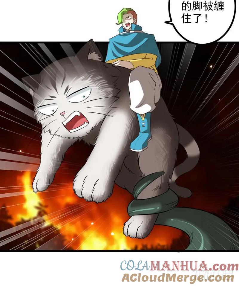 42.jpg